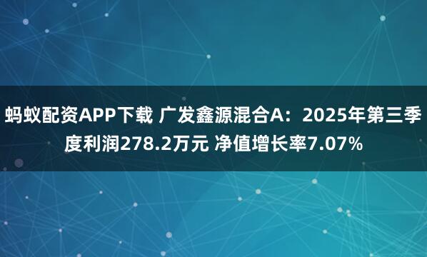 蚂蚁配资APP下载 广发鑫源混合A：2025年第三季度利润278.2万元 净值增长率7.07%