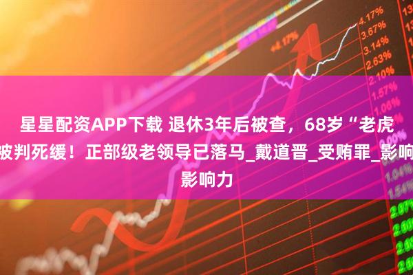 星星配资APP下载 退休3年后被查，68岁“老虎”被判死缓！正部级老领导已落马_戴道晋_受贿罪_影响力